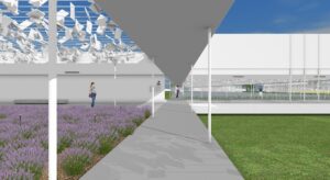 D_11